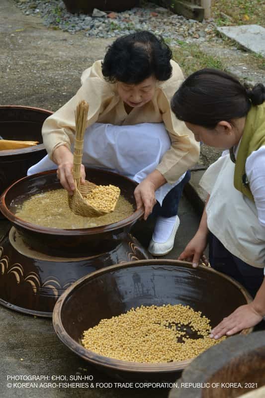 Graines de soja préparées pour la fermentation du jang